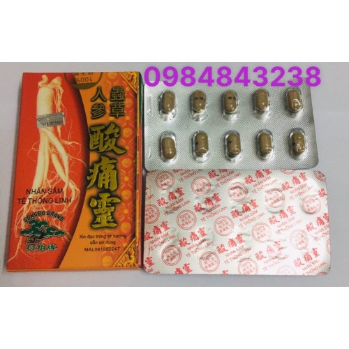 Nhân Sâm Tê Thống Linh chủ trị phong thấp, đau xương khớp